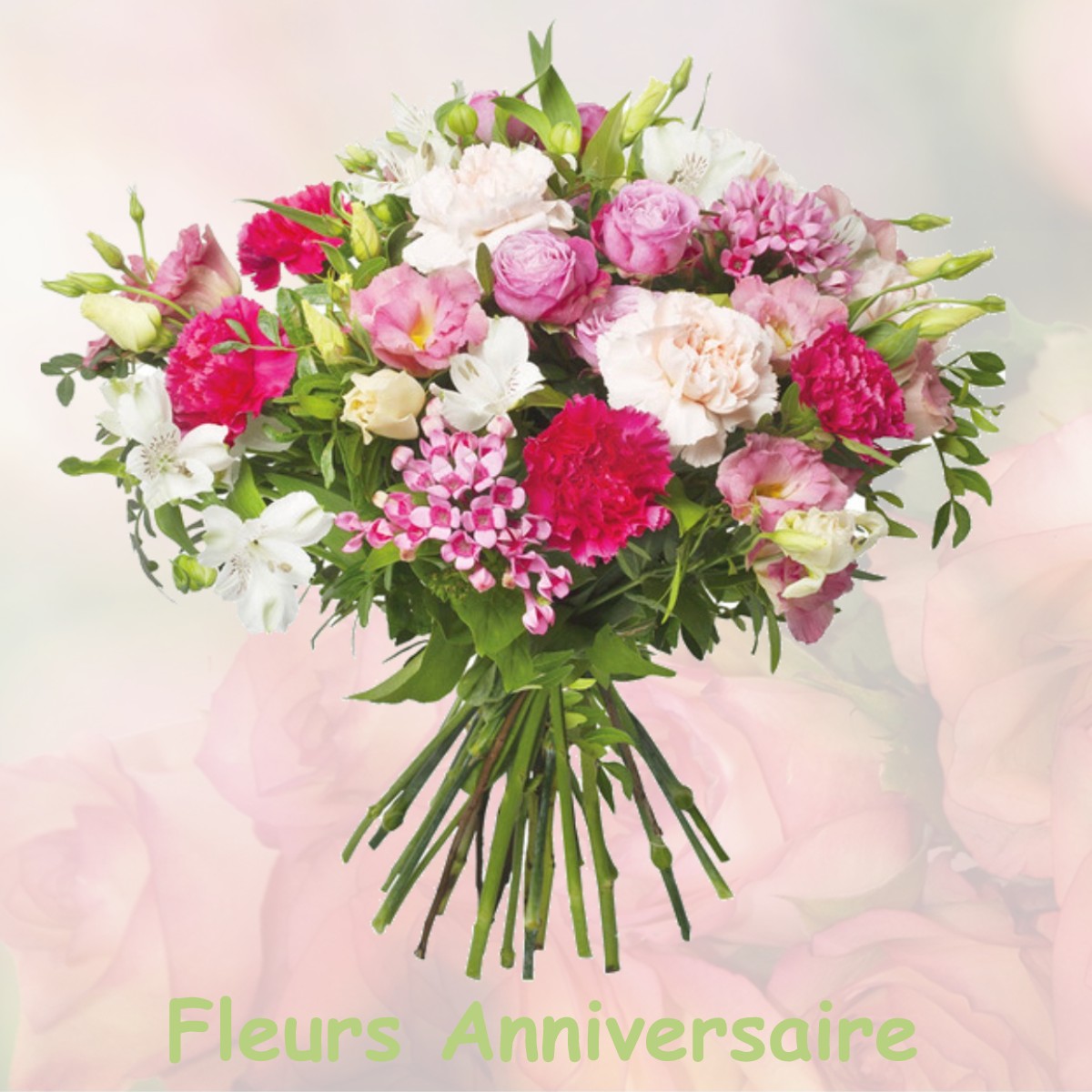 fleurs anniversaire MEZIERES-EN-VEXIN